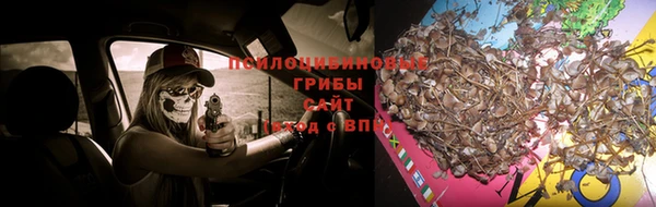 тгк Алзамай