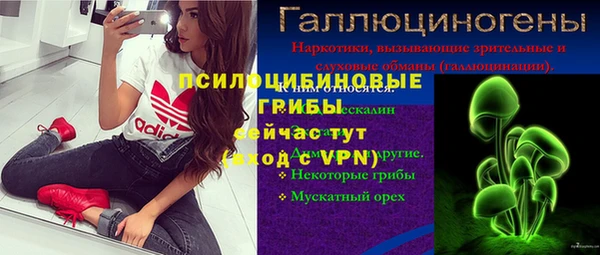 тгк Алзамай