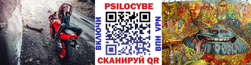 Галлюциногенные грибы мицелий  где продают наркотики  Кыштым 