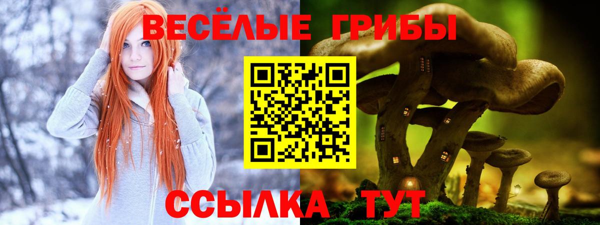 Псилоцибиновые грибы Psilocybe  Вход с VPN  Кыштым 